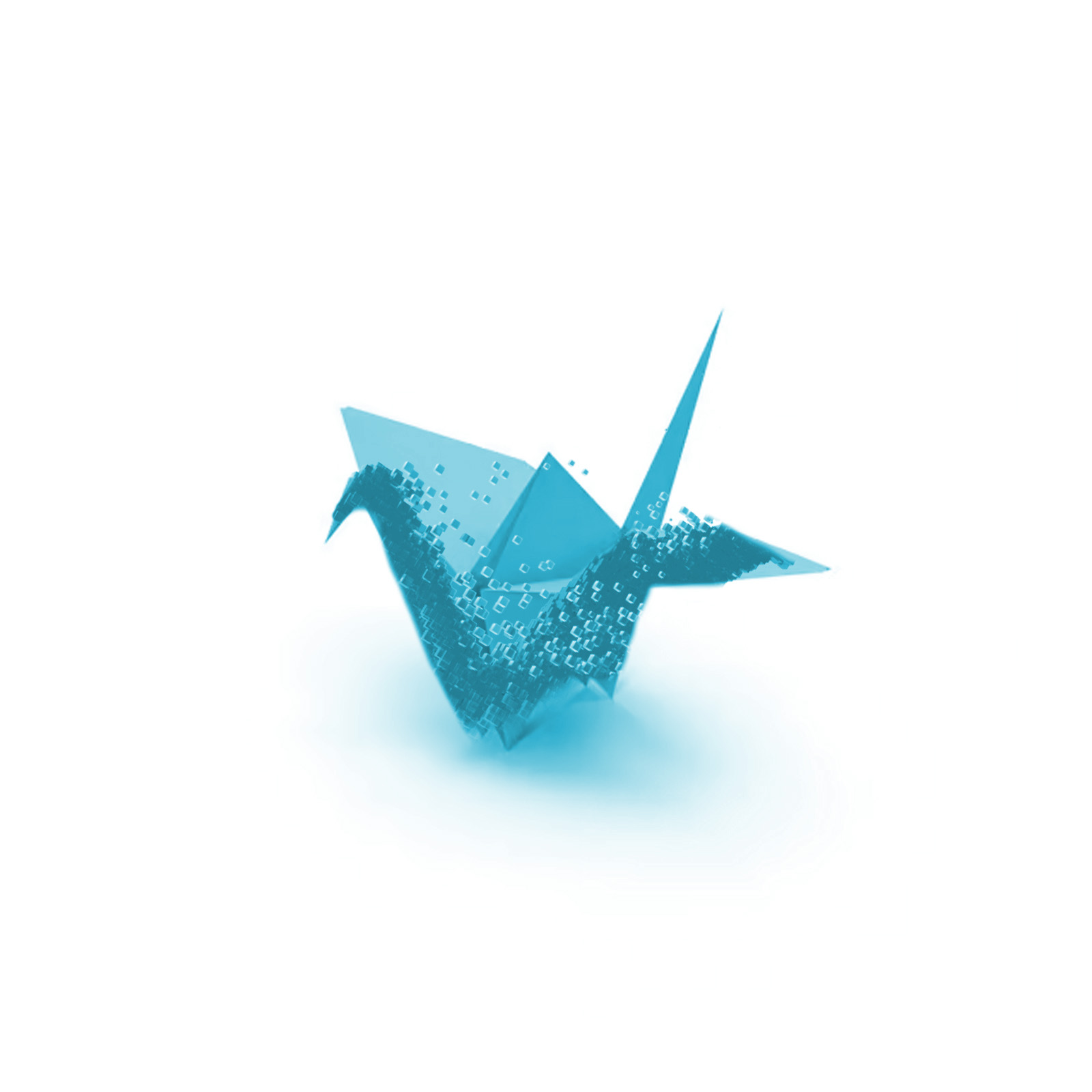 Asset Voxel Mockups origami 1